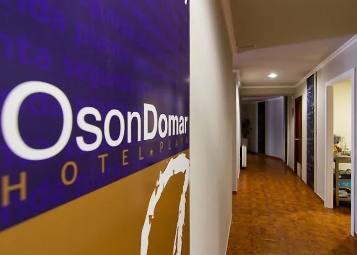 O Son Do Mar סנשנשו